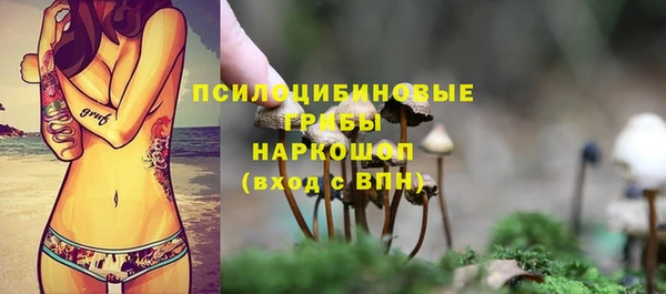 хмурый Армянск
