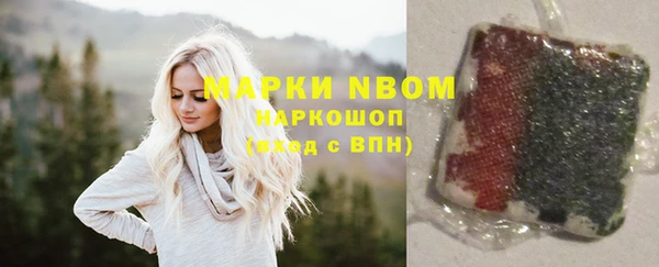 дмт Арсеньев