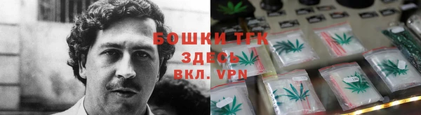 дмт Арсеньев