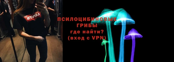 винт Аркадак