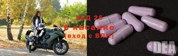 дмт Арсеньев