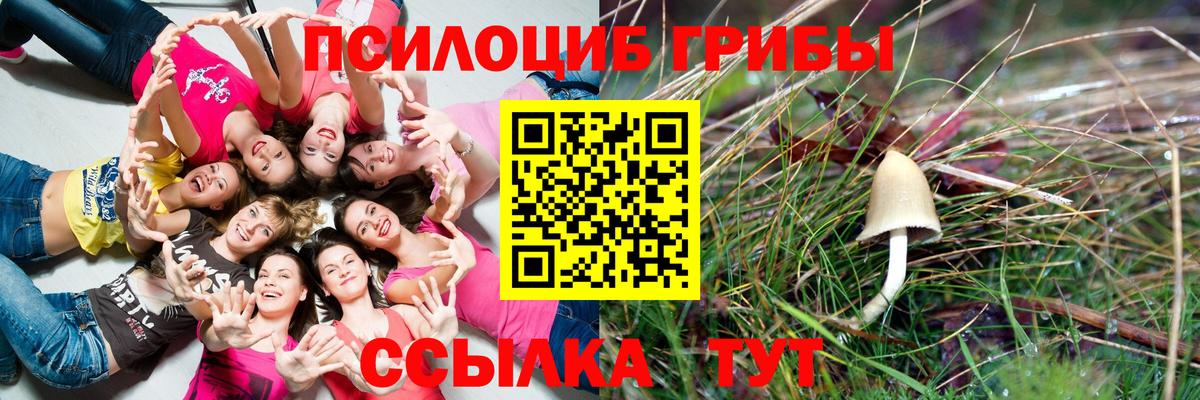 Псилоцибиновые грибы MAGIC MUSHROOMS  Галлюциногенные грибы ЛСД  Кемерово  наркота  Вход с VPN 